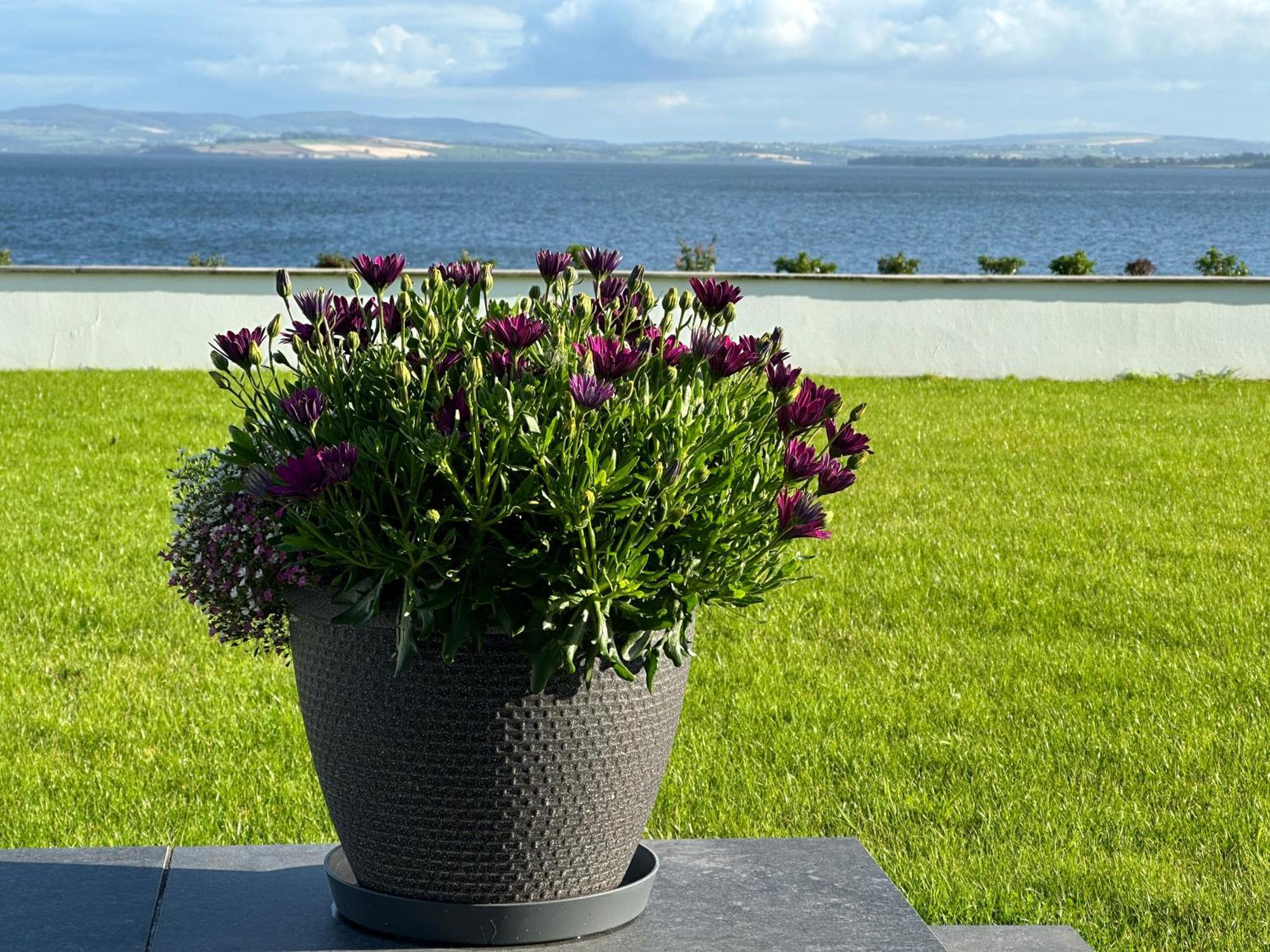 Sea Vista - Rathmullan Villa Ngoại thất bức ảnh